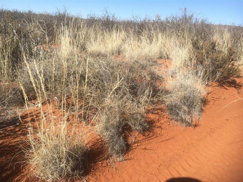 0 Bedroom Property for Sale in Prieska Northern Cape